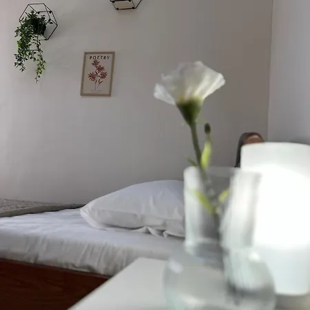 Comfort Apartment